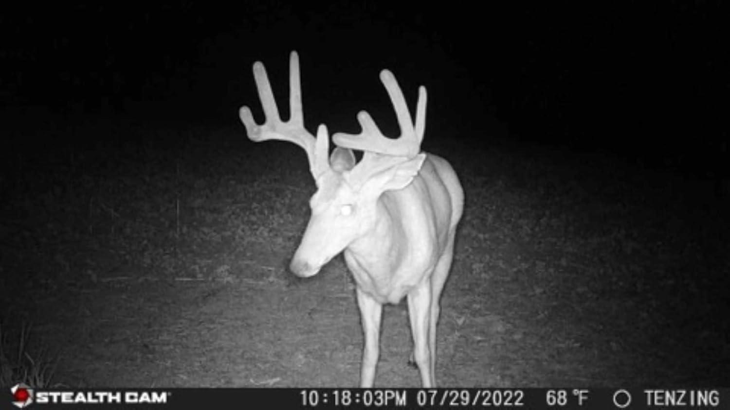 image:imageStealth CAM DS4K 32MP Photo amp 4K at 30 FPS Day amp Night Video 02 Sec Trigger Speed Hunting Game Camera4 Count