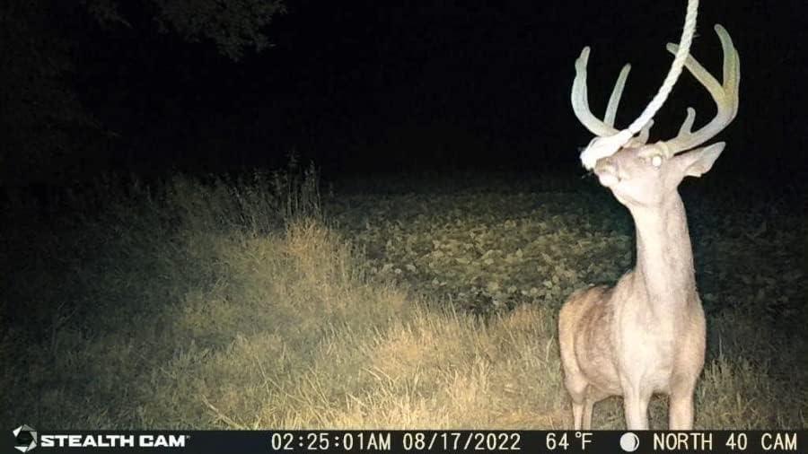 image:imageStealth CAM DS4K 32MP Photo amp 4K at 30 FPS Day amp Night Video 02 Sec Trigger Speed Hunting Game Camera4 Count