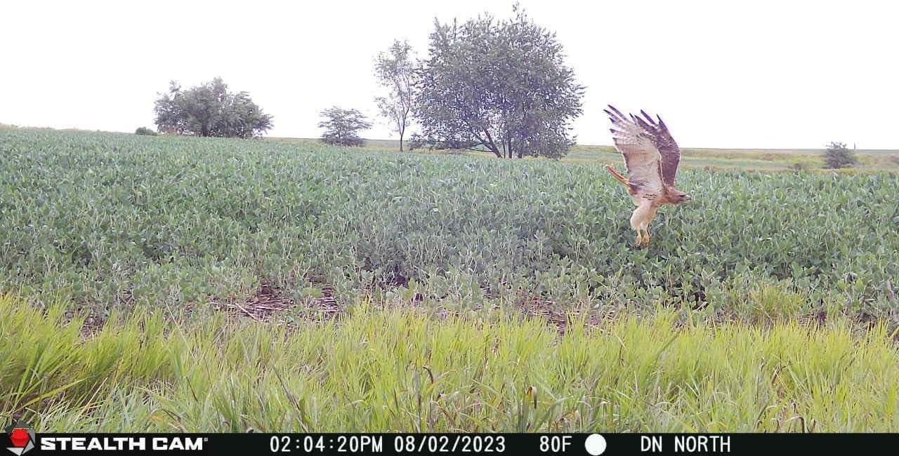 image:imageStealth CAM Fusion XPro Dual Sim 36 MP Photo amp 720P HD Video 04 Sec Trigger Speed Wireless Hunting Trail Camera Available on ATampT amp Verizon1 Count