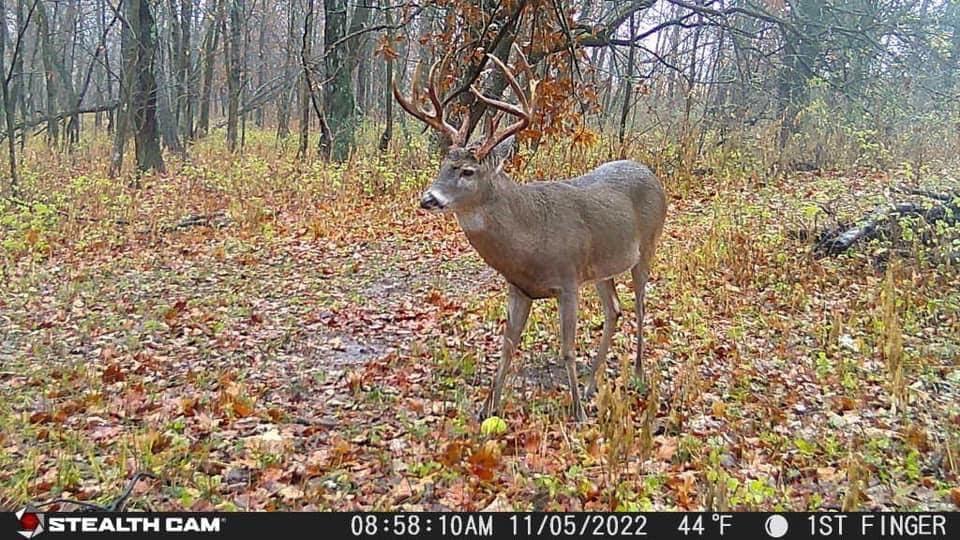 image:imageStealth CAM Fusion XPro Dual Sim 36 MP Photo amp 720P HD Video 04 Sec Trigger Speed Wireless Hunting Trail Camera Available on ATampT amp Verizon1 Count
