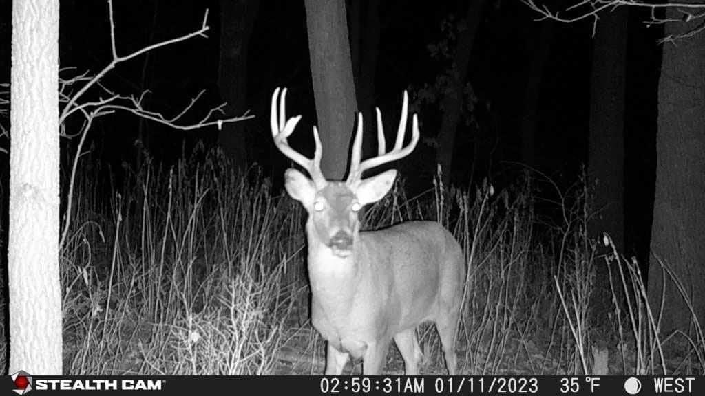 image:imageStealth CAM Fusion XPro Dual Sim 36 MP Photo amp 720P HD Video 04 Sec Trigger Speed Wireless Hunting Trail Camera Available on ATampT amp Verizon1 Count