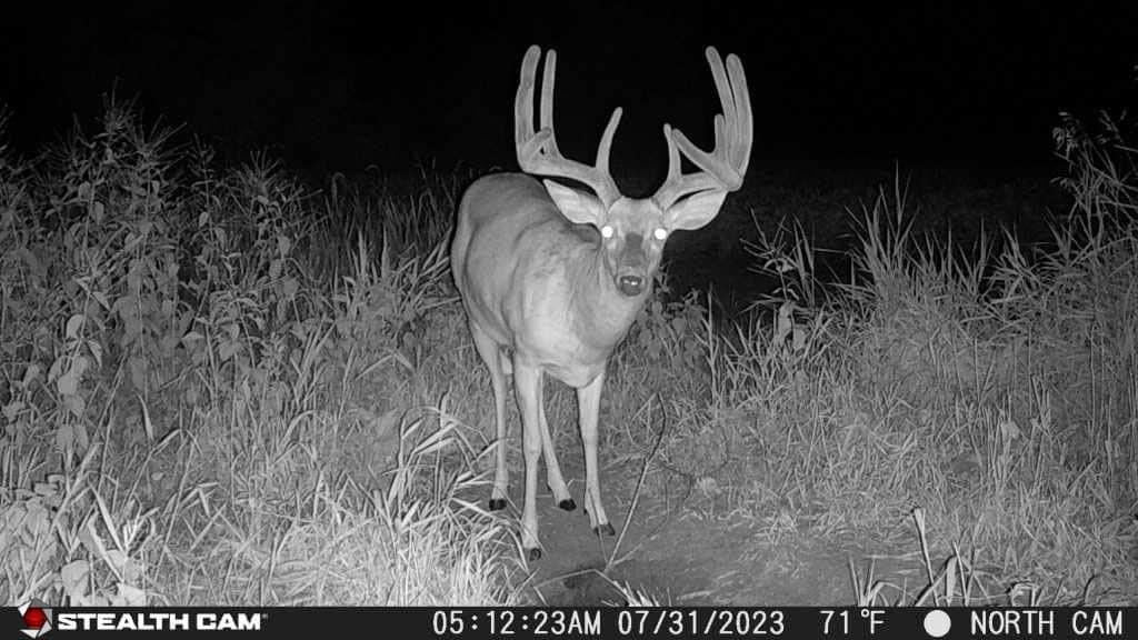 image:imageStealth CAM Fusion XPro Dual Sim 36 MP Photo amp 720P HD Video 04 Sec Trigger Speed Wireless Hunting Trail Camera Available on ATampT amp Verizon1 Count