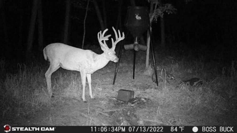 image:imageStealth CAM GMAX32 NO GLO Vision 32MP Photo amp 1080P Video at 30FPS 42940nm LEDs 04 Sec Trigger Speed 100Ft Detection amp IR Range Hunting Trail CameraGMAX32 NO GLO Vision