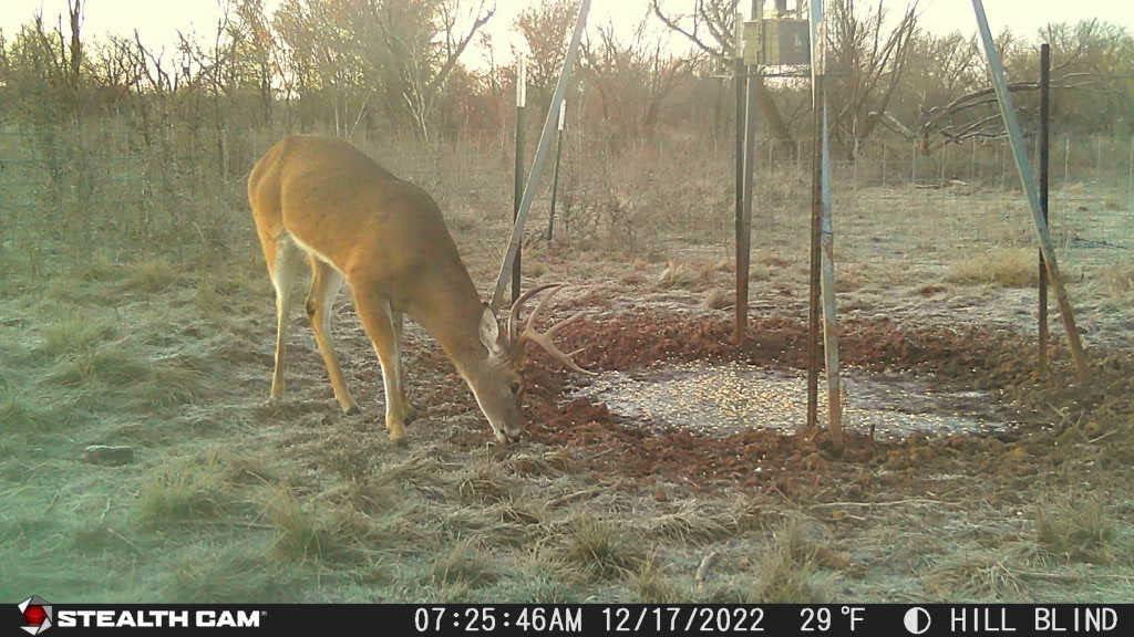image:imageStealth CAM GMAX32 NO GLO Vision 32MP Photo amp 1080P Video at 30FPS 42940nm LEDs 04 Sec Trigger Speed 100Ft Detection amp IR Range Hunting Trail CameraGMAX32 NO GLO Vision