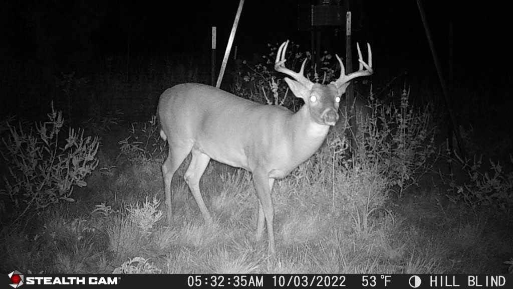 image:imageStealth CAM GMAX32 NO GLO Vision 32MP Photo amp 1080P Video at 30FPS 42940nm LEDs 04 Sec Trigger Speed 100Ft Detection amp IR Range Hunting Trail CameraGMAX32 NO GLO Vision