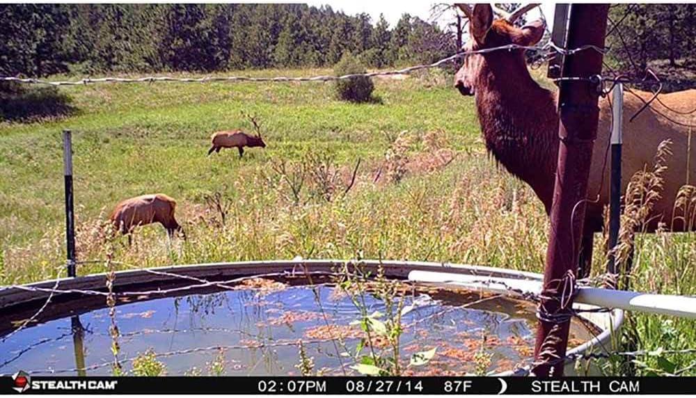 image:imageStealth Cam 140 Megapixel 45 NoGlo IR Trail Camera