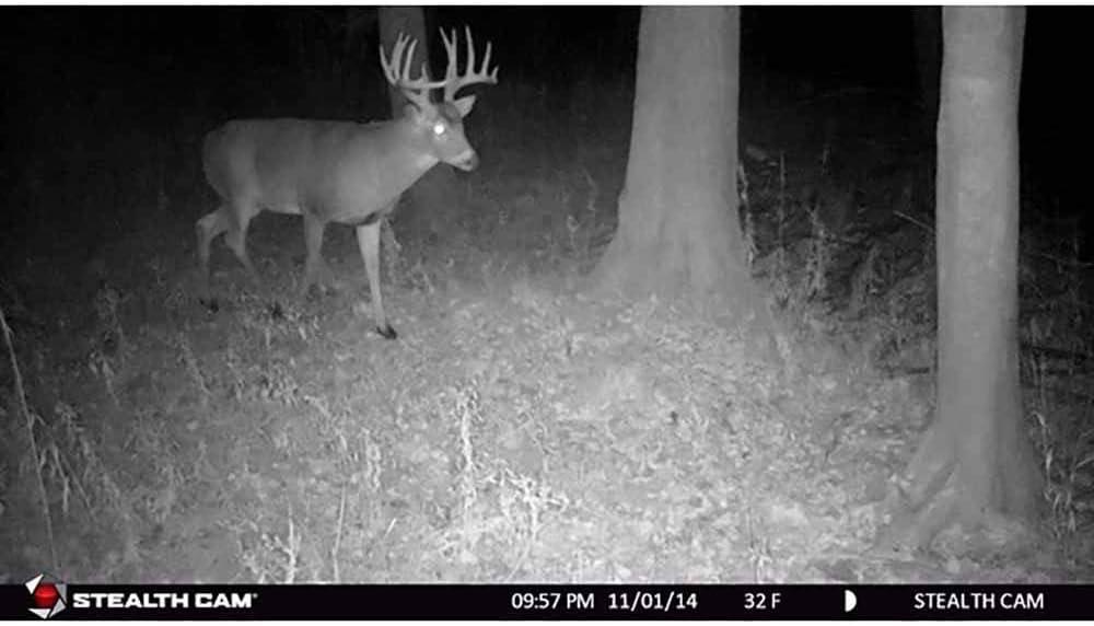 image:imageStealth Cam 8MP 30IR Game Camera