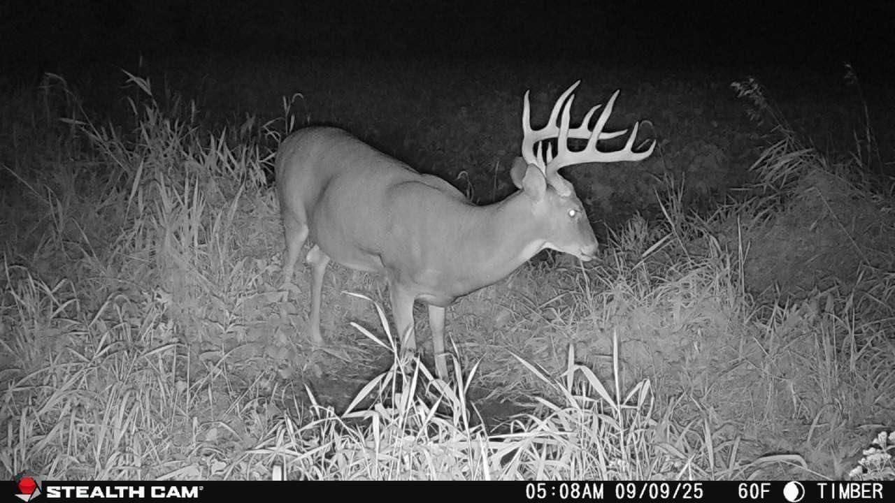 image:imageStealth Cam Deceptor MAX Dual Sim 40MP Photo amp 1440P QHD Video NoGlo LED Hunting Cellular Trail Camera Available on ATampT amp Verizon 2 PackSingle