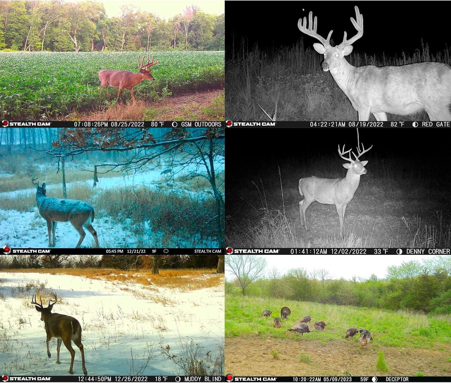 image:imageStealth Cam Deceptor MAX Dual Sim 40MP Photo amp 1440P QHD Video NoGlo LED Hunting Cellular Trail Camera Available on ATampT amp Verizon 2 PackSingle Pack of 4