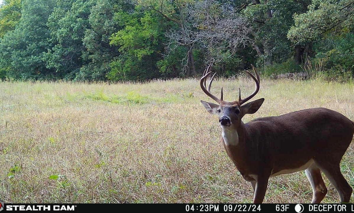 image:imageStealth Cam Deceptor MAX Dual Sim 40MP Photo amp 1440P QHD Video NoGlo LED Hunting Cellular Trail Camera Available on ATampT amp Verizon 2 PackSingle