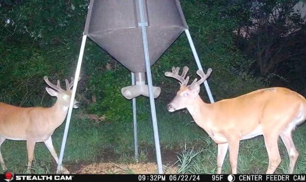 image:imageStealth Cam Flashback 40MP 04 Sec Trigger Speed True Color Nighttime Photos White Xenon Flash AppControlled Hunting Cellular Trail Camera Available on Verizon amp ATampT