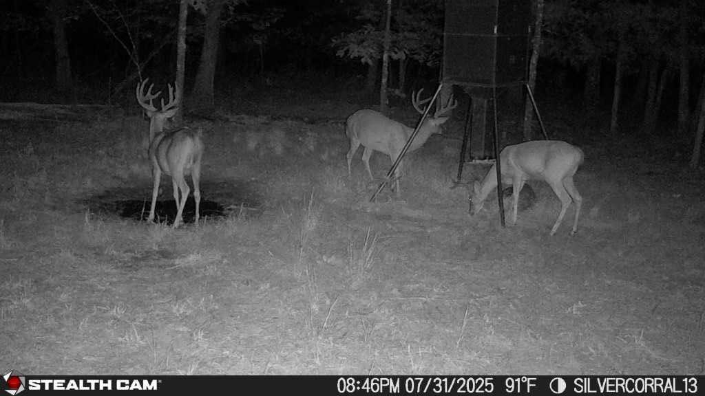 image:imageStealth Cam Fusion MAX Dual Sim 36MP Photo amp 1080P HD Video 035 Sec Trigger Speed AppControl Hunting Cellular Trail Camera Available on ATampT amp Verizon 2 Pack2 Pack