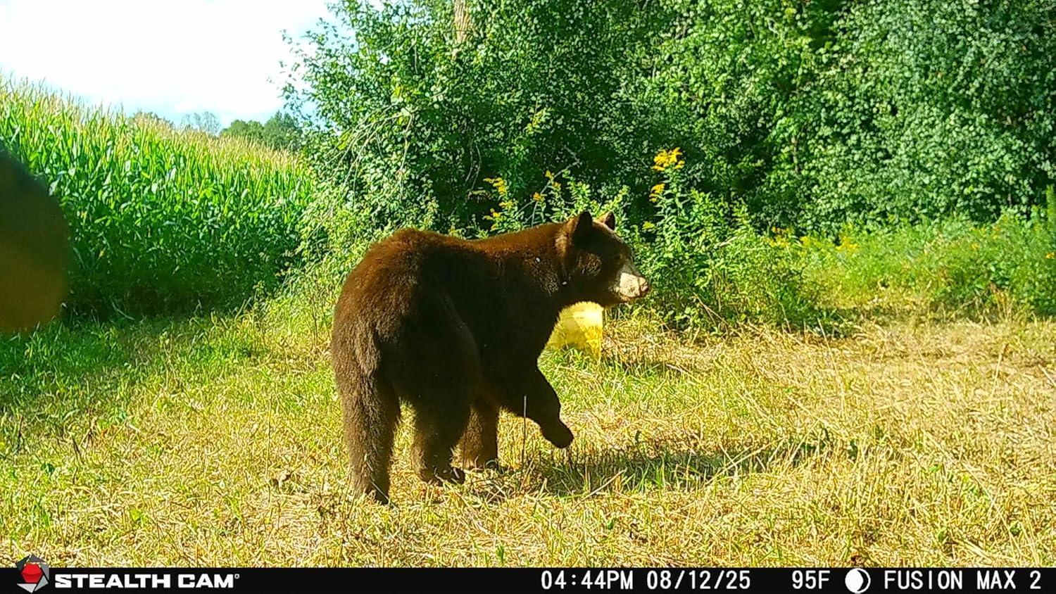 image:imageStealth Cam Fusion MAX Dual Sim 36MP Photo amp 1080P HD Video 035 Sec Trigger Speed AppControl Hunting Cellular Trail Camera Available on ATampT amp Verizon 2 Pack2 Pack