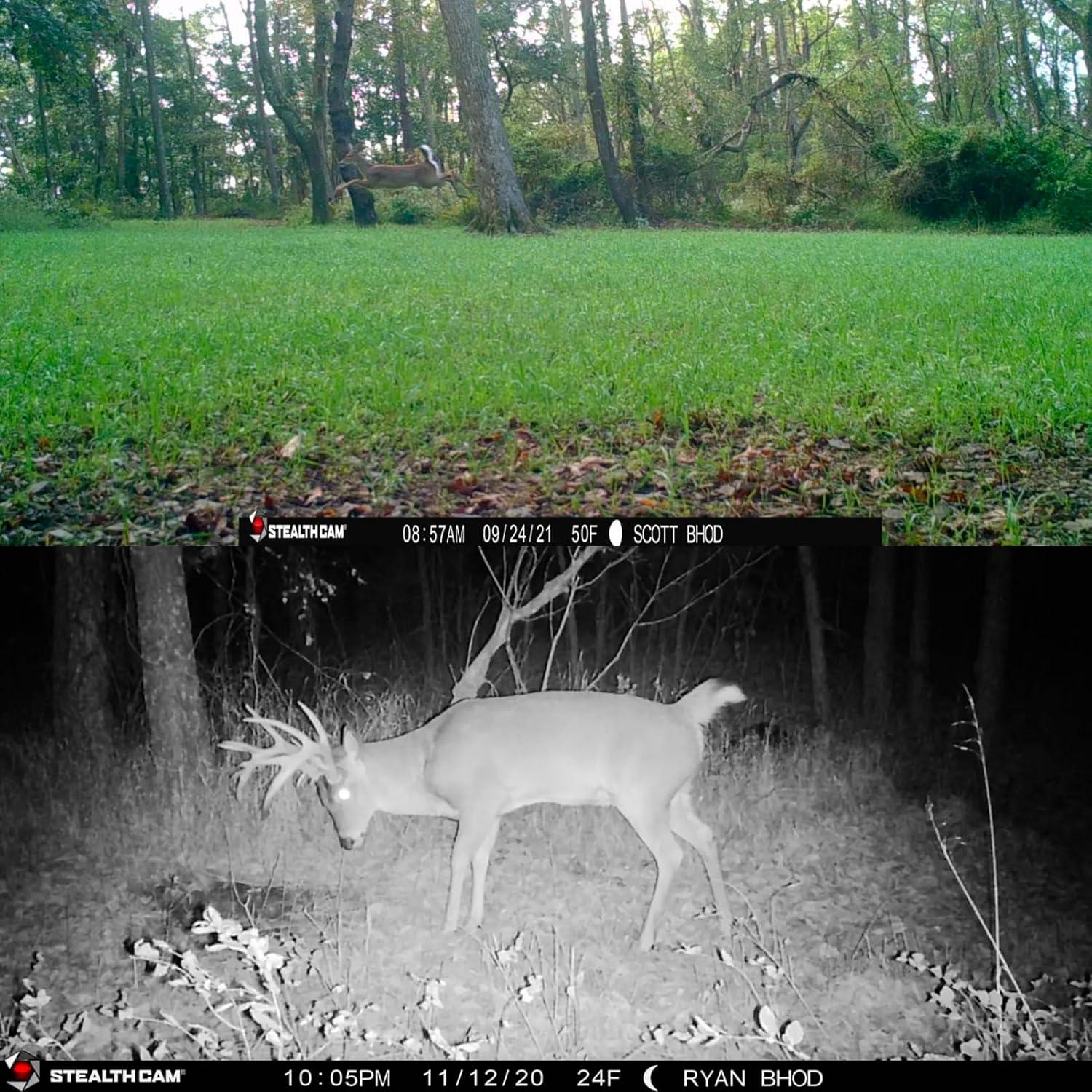 image:imageStealth Cam Fusion MAX Dual Sim 36MP Photo amp 1080P HD Video 035 Sec Trigger Speed AppControl Hunting Cellular Trail Camera Available on ATampT amp Verizon 2 PackSingle