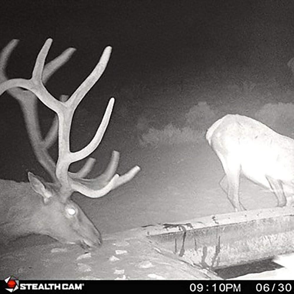 image:imageStealth Cam G34 Series Infrared Day and Night PictureHD Video and Sound Trail amp Game Camera Proven Reliability and Quality from a Brand You Trust