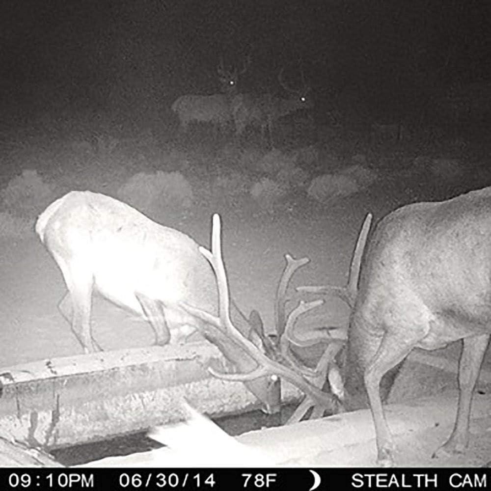 image:imageStealth Cam G34 Series Infrared Day and Night PictureHD Video and Sound Trail amp Game Camera Proven Reliability and Quality from a Brand You Trust