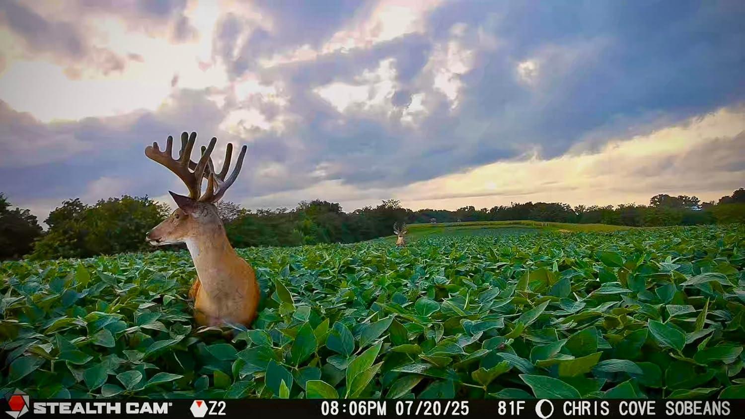 image:imageStealth Cam Revolver PRO 40MP Photo 1440P at 30 FPS QHD Video 04 Sec Trigger Speed 360Degree Panoramic View Builtin GPS Hunting Cellular Trail CameraREVOLVER PRO 20