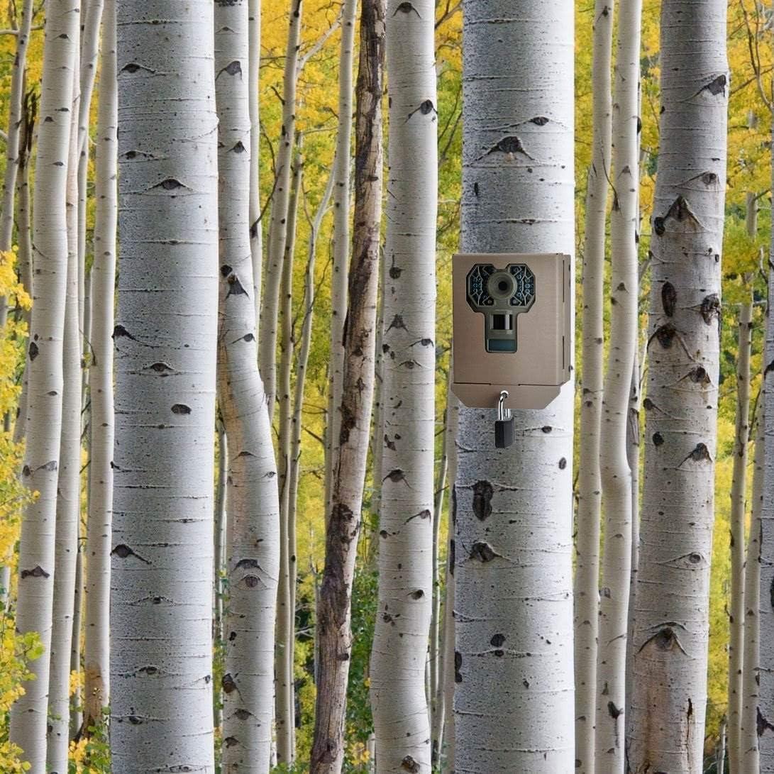 image:imageStealth Cam STCBBG SecurityBear Box for G SERIES Camera Brown Right 700in x 675in x 300in
