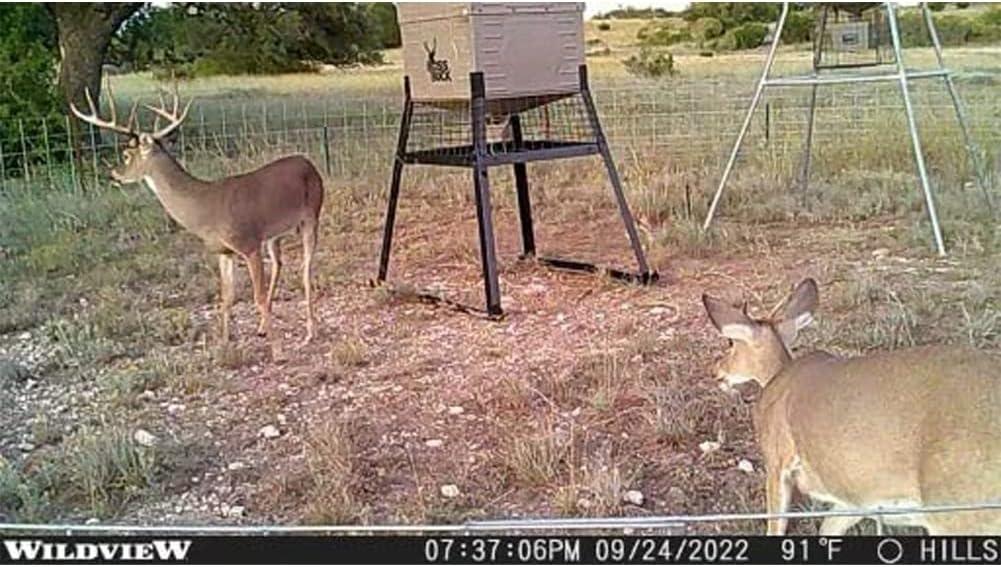 image:imageStealth Cam Wildview WV14 14MP 07 Seconds Trigger Speed 60 ft Detection Hunting Trail Camera Supports SD Cards Up to 32GB
