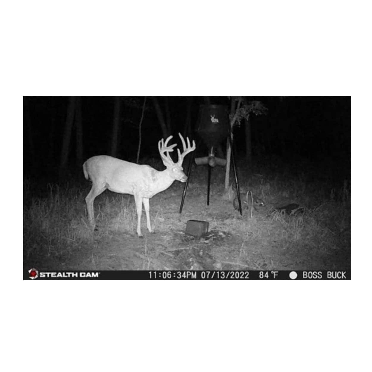 image:imageStealth Cam outdoor Cam 1080p G42NG No Glo Trail and Wildlife Camera Day or night proven reliability Designed and Engineered in the USA