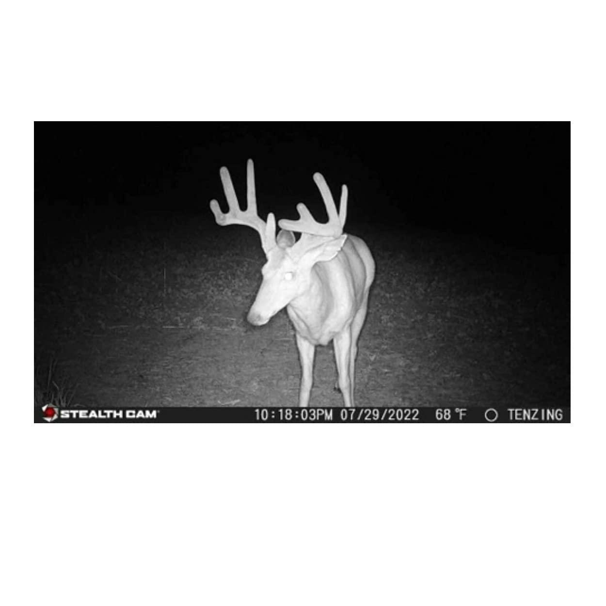 image:imageStealth Cam outdoor Cam 1080p G42NG No Glo Trail and Wildlife Camera Day or night proven reliability Designed and Engineered in the USA
