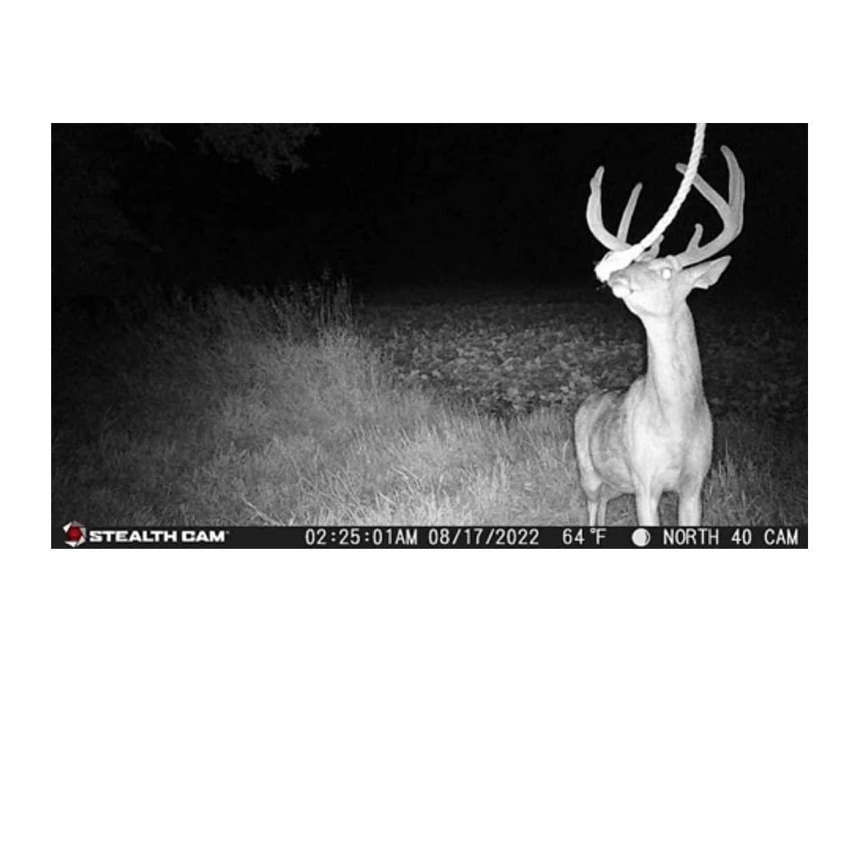 image:imageStealth Cam outdoor Cam 1080p G42NG No Glo Trail and Wildlife Camera Day or night proven reliability Designed and Engineered in the USA